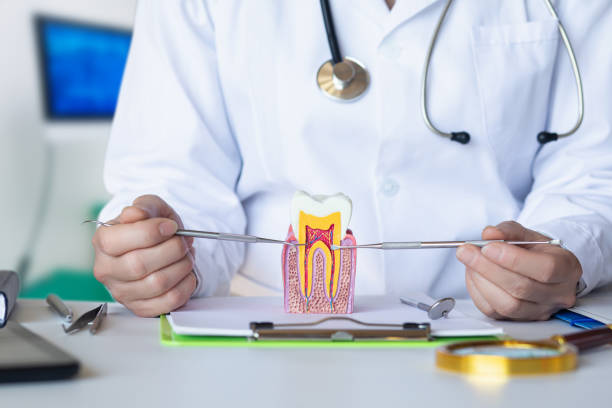Best Emergency Dental Care for Broken or Chipped Teeth in Appleton, WI